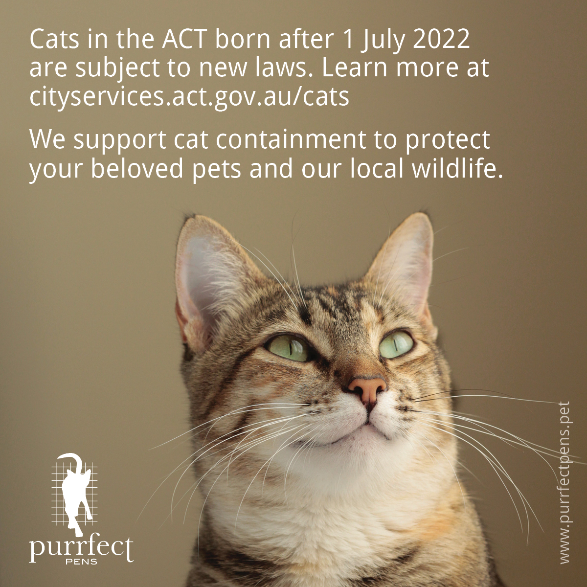 Breaking news - cat containment in the ACT