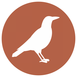 Icon of magpie