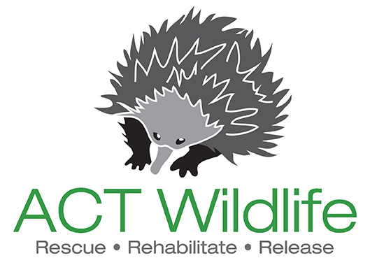 ACT Wildlife Logo