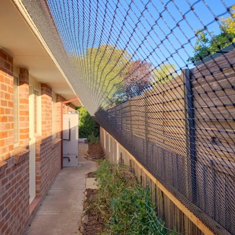 Side of house Enclosure Cat Netting - Purrfect Pens custom cat enclosures Canberra