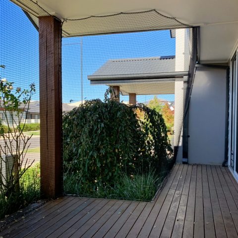 Deck Cat Netting Enclosure - Purrfect Pens custom cat enclosures Canberra