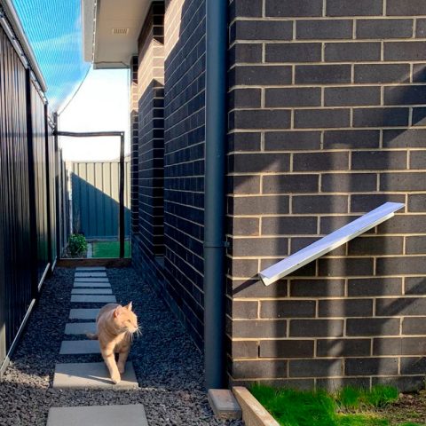 Side of house Enclosure Cat Netting - Purrfect Pens custom cat enclosures Canberra