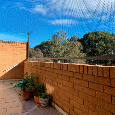 Balcony Cat Enclosure Netting - Purrfect Pens custom cat enclosures Canberra