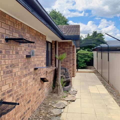 Backyard Netting Cat Enclosure Angled Fence Brackets - Purrfect Pens custom cat enclosures Canberra