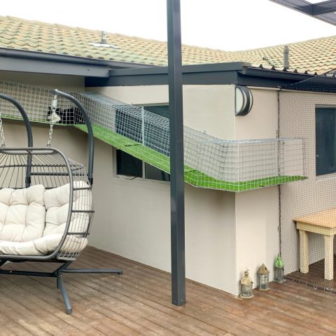 Steel aerial walkway tunnel cat enclosure - Purrfect Pens custom cat enclosures Canberra