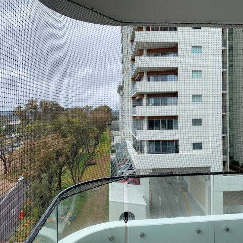 Balcony Cat Enclosure Netting - Purrfect Pens custom cat enclosures Canberra