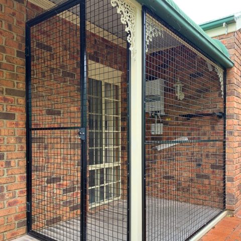 Steel gate cat enclosure - Purrfect Pens custom cat enclosures Canberra