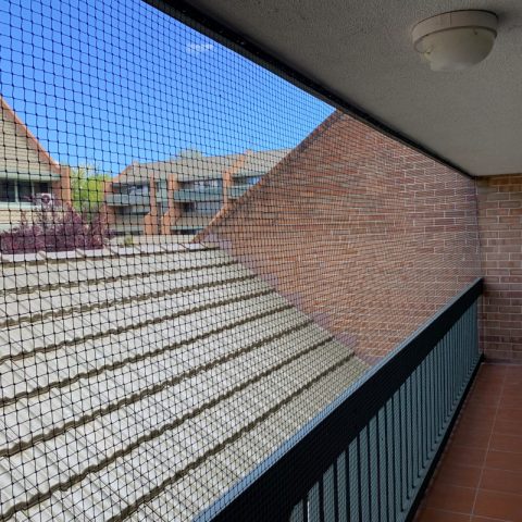 Balcony Cat Enclosure Netting - Purrfect Pens custom cat enclosures Canberra