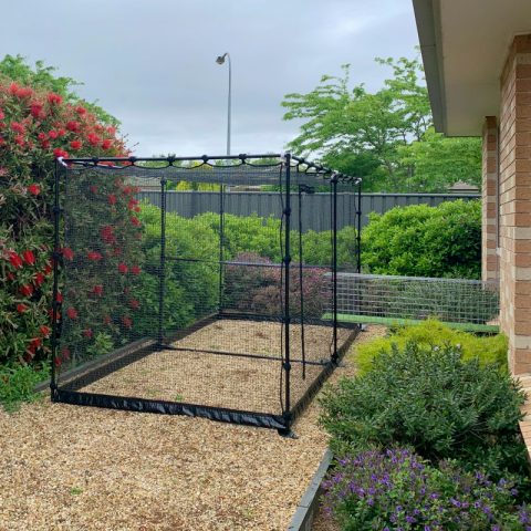 Freestanding Cat Enclosure Aerial Walkway steel - Purrfect Pens custom cat enclosures Canberra