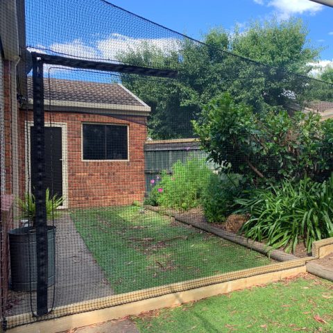 Backyard Cat Netting Enclosure - Purrfect Pens custom cat enclosures Canberra
