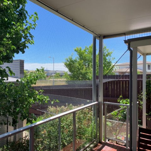 Courtyard Cat Netting Enclosure - Purrfect Pens custom cat enclosures Canberra