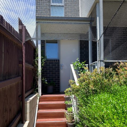 Courtyard Cat Netting Enclosure - Purrfect Pens custom cat enclosures Canberra