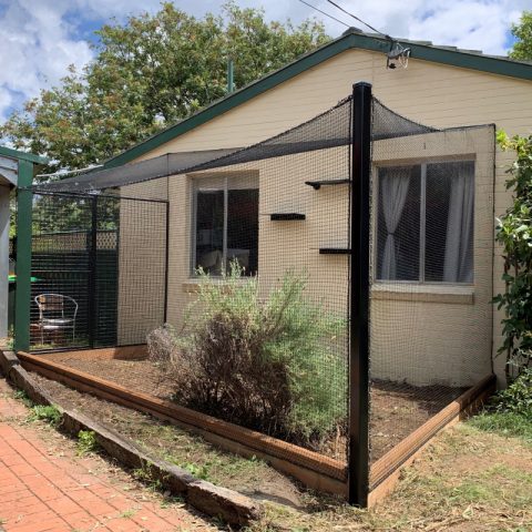 Backyard Cat Netting Enclosure - Purrfect Pens custom cat enclosures Canberra