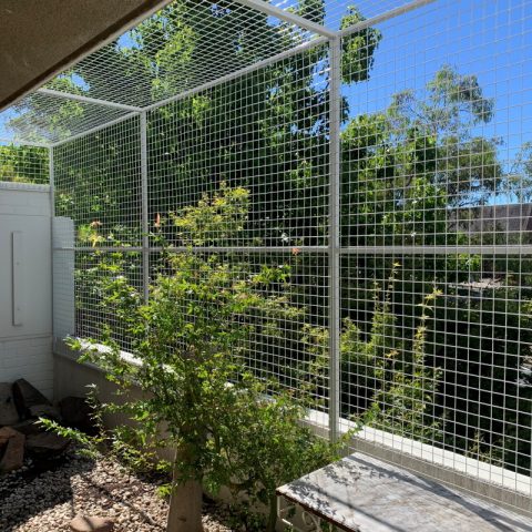 Balcony Cat Enclosure Netting - Purrfect Pens custom cat enclosures Canberra