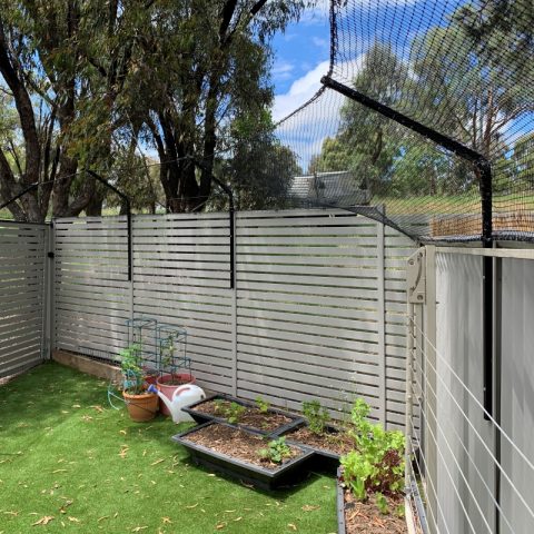 Backyard Netting Cat Enclosure Angled Fence Brackets - Purrfect Pens custom cat enclosures Canberra