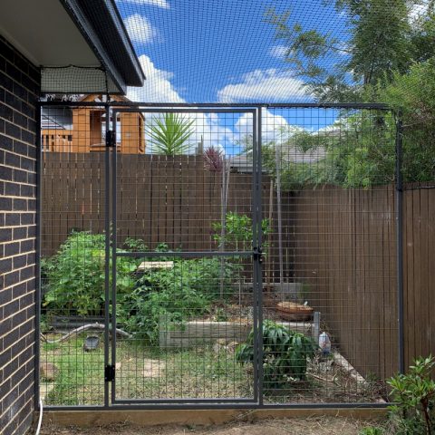 Steel gate backyard cat enclosure netting - Purrfect Pens custom cat enclosures Canberra