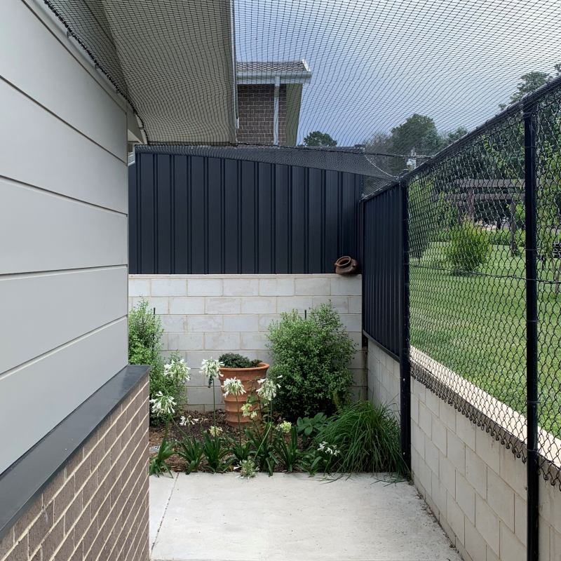 Cat enclosures side of on sale house