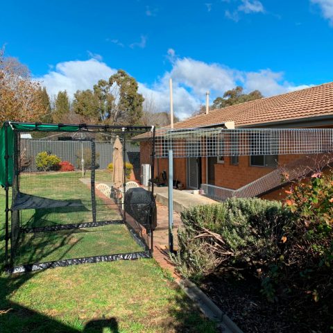 Steel aerial walkway tunnel freestanding cat enclosure - Purrfect Pens custom cat enclosures Canberra