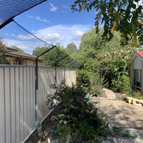 Backyard Netting Cat Enclosure Angled Fence Brackets - Purrfect Pens custom cat enclosures Canberra
