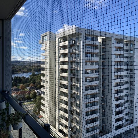 Balcony Cat Enclosure Netting - Purrfect Pens custom cat enclosures Canberra