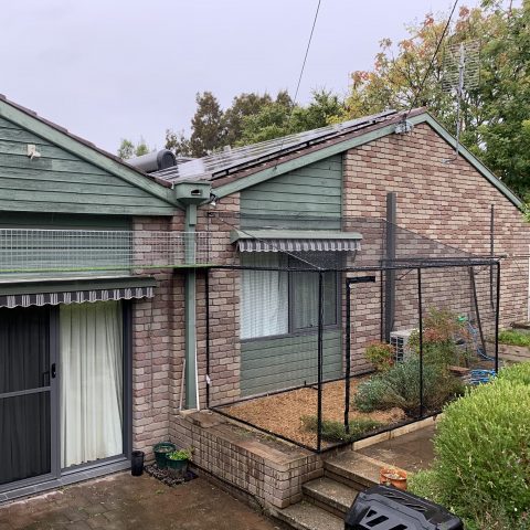 Freestanding Cat Enclosure Aerial Walkway steel - Purrfect Pens custom cat enclosures Canberra