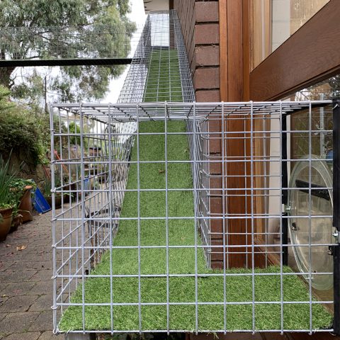 Steel aerial walkway tunnel cat enclosure - Purrfect Pens custom cat enclosures Canberra