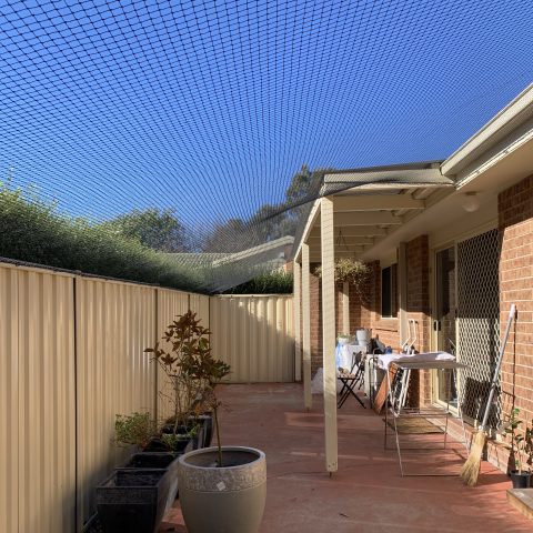 Backyard Cat Netting Enclosure - Purrfect Pens custom cat enclosures Canberra