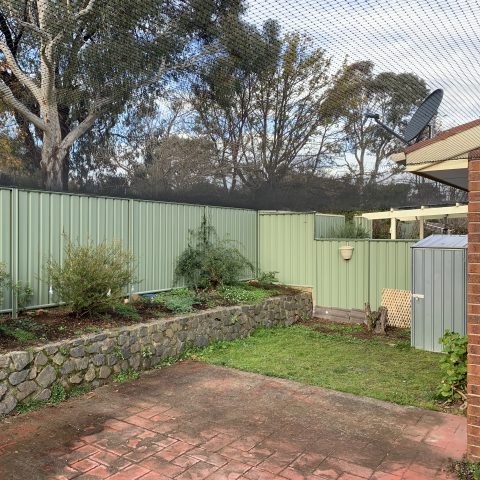 Backyard Cat Netting Enclosure - Purrfect Pens custom cat enclosures Canberra