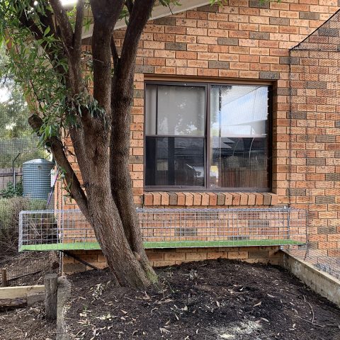 Steel aerial walkway tunnel cat enclosure - Purrfect Pens custom cat enclosures Canberra