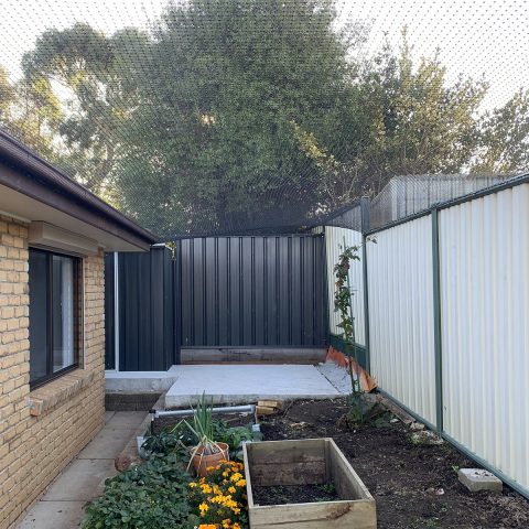 Backyard Cat Netting Enclosure - Purrfect Pens custom cat enclosures Canberra