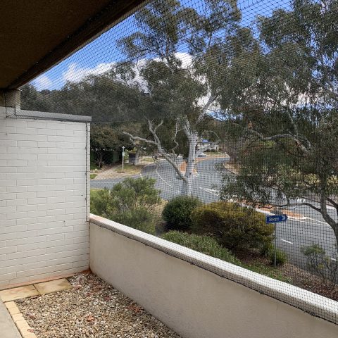 Balcony Cat Enclosure Netting - Purrfect Pens custom cat enclosures Canberra