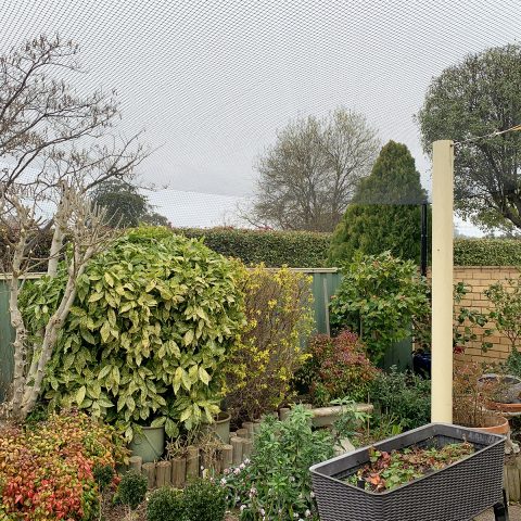 Backyard Cat Netting Enclosure - Purrfect Pens custom cat enclosures Canberra