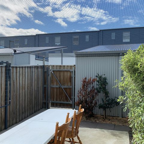 Courtyard Cat Netting Enclosure - Purrfect Pens custom cat enclosures Canberra