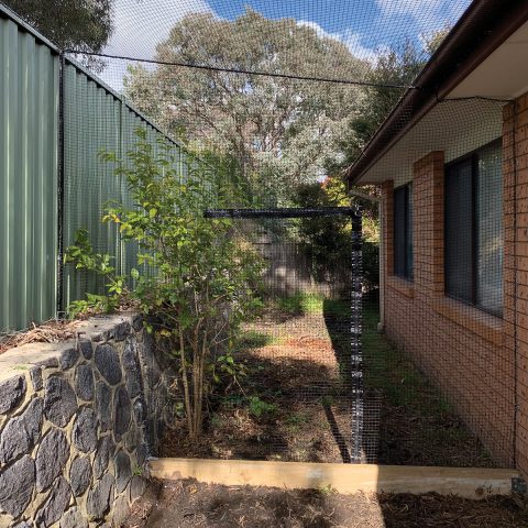 Backyard Cat Netting Enclosure - Purrfect Pens custom cat enclosures Canberra