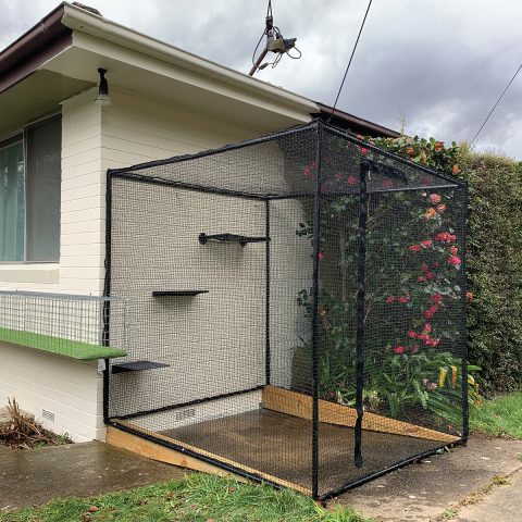 Freestanding Cat Enclosure - Purrfect Pens custom cat enclosures Canberra