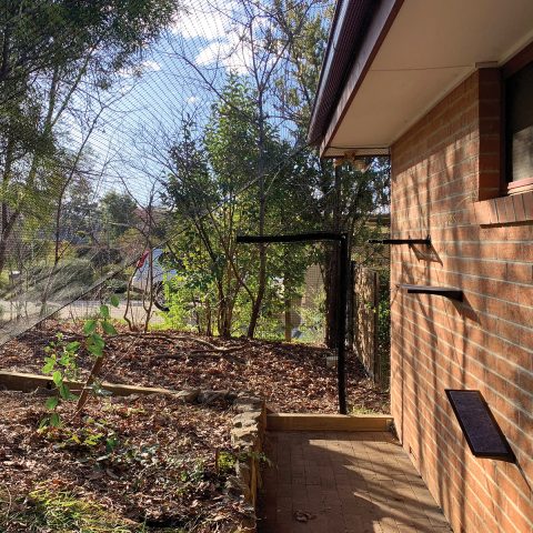 Backyard Cat Netting Enclosure - Purrfect Pens custom cat enclosures Canberra