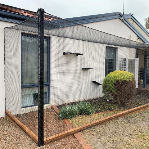 Backyard Cat Netting Enclosure - Purrfect Pens custom cat enclosures Canberra