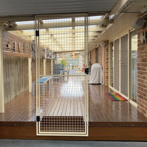 Steel gate deck cat enclosure netting - Purrfect Pens custom cat enclosures Canberra